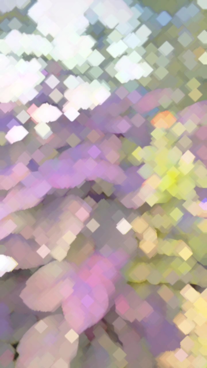follow my TikTok id 