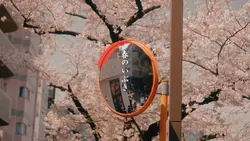 春のいぶき
