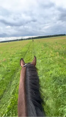 4k horseriding slomo