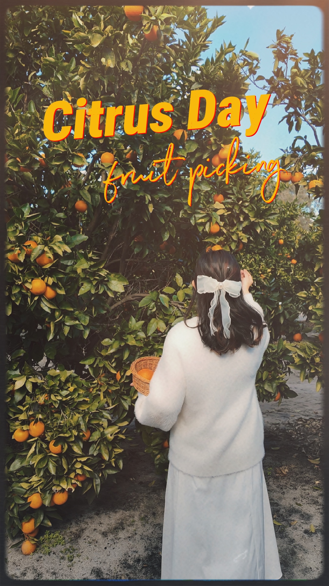 Día de los Cítricos🍊