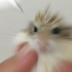 230팔기념 노가다