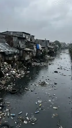 House Restoration #1