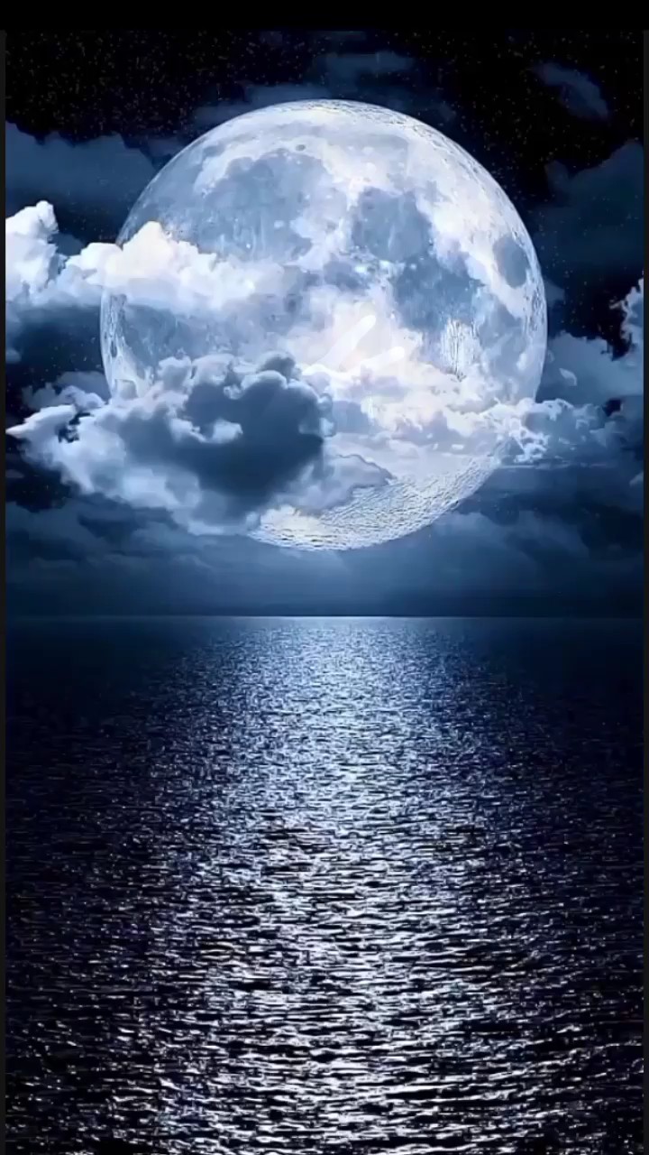 Selamat Malam
