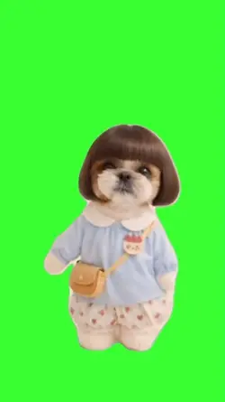 Dancing dog 