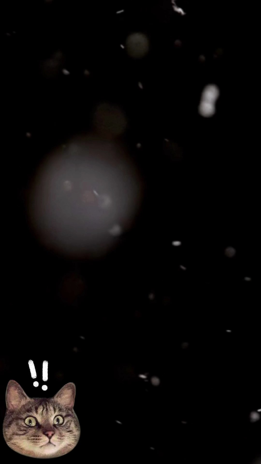 ជួបបងដំបូងអាចនិយាយ