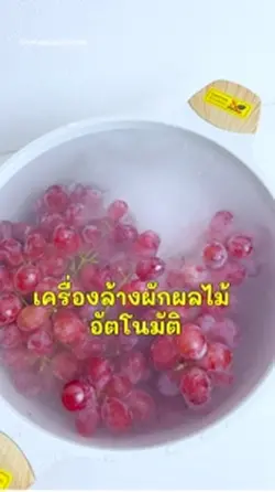 เครื่องล้างผัก