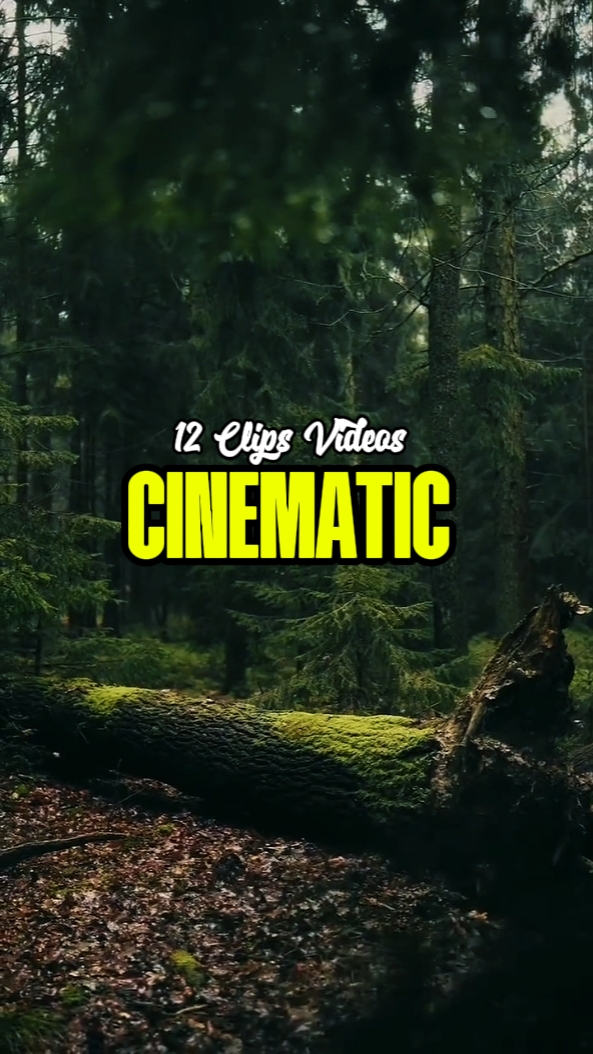 12 Clips cinematic 