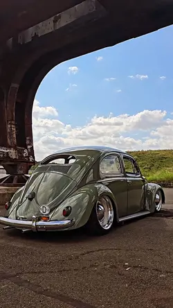 FUSCA EDIT