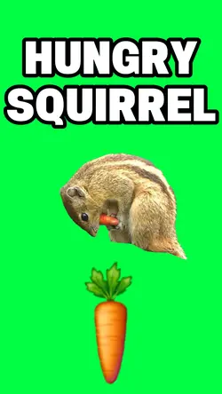 HUNGRY SQUIRREL