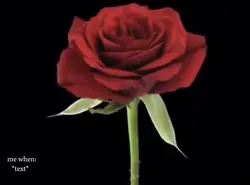 flower growing๐บ