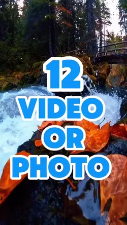 12 video or photo