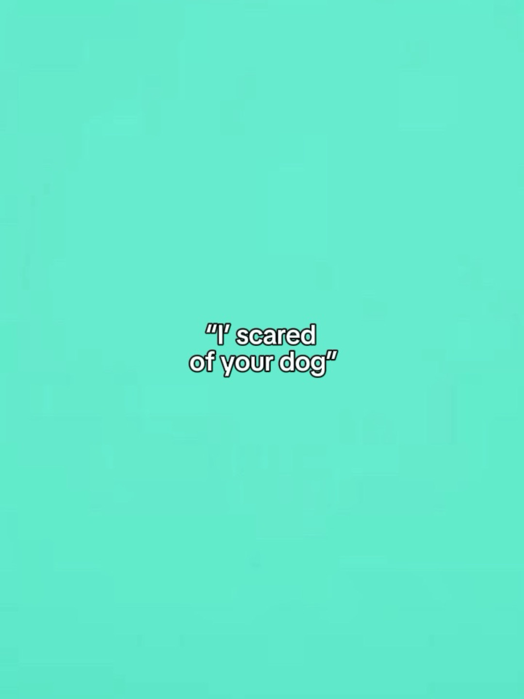 I scared of your dog