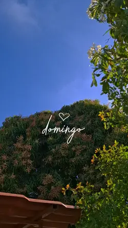 Domingo 