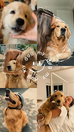 My dog