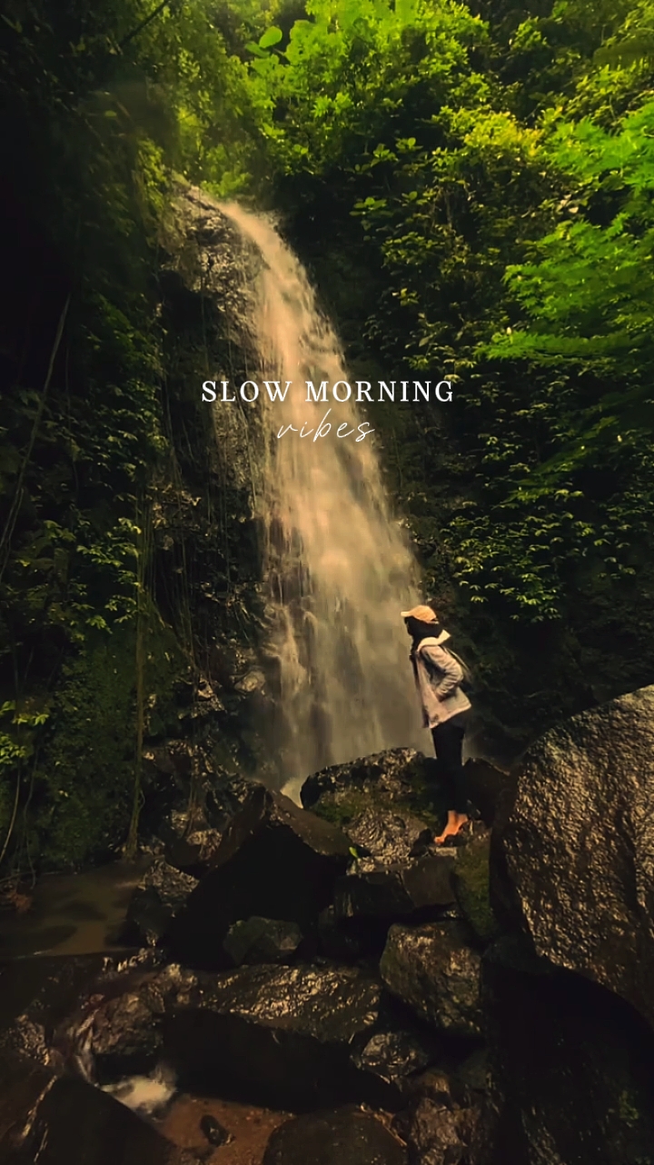 SLOW MORNING