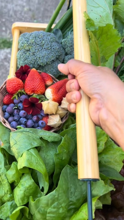 Gardening