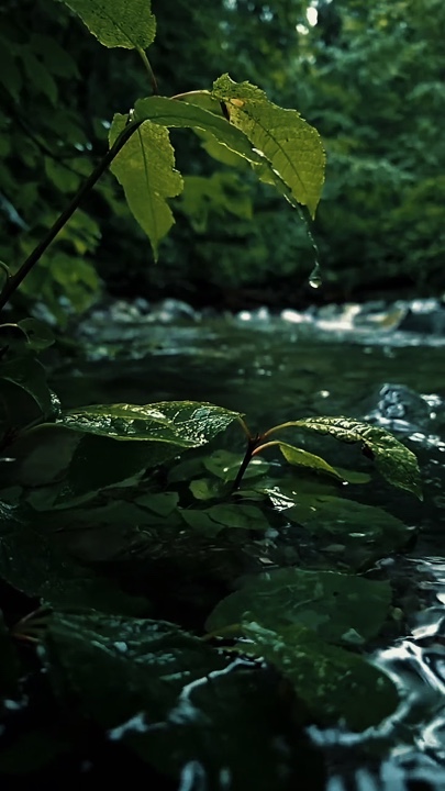Cinematic Nature 