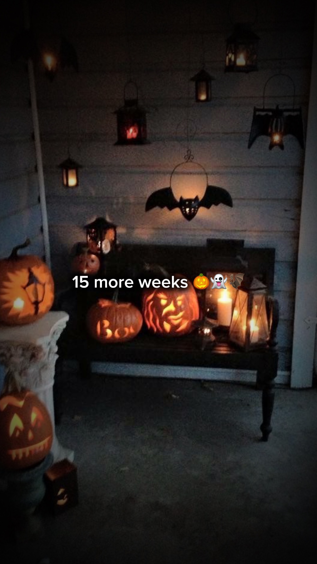 15 semaines 🦇🎃👻