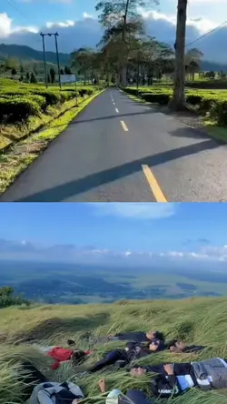2 video kolase