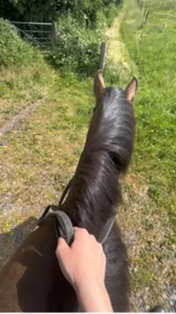 Zoomies
