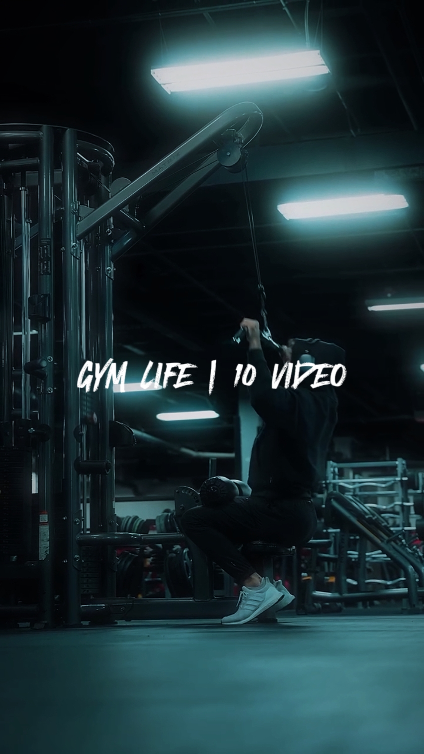 Gym life | 10 video