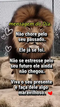 mensagem do dia 