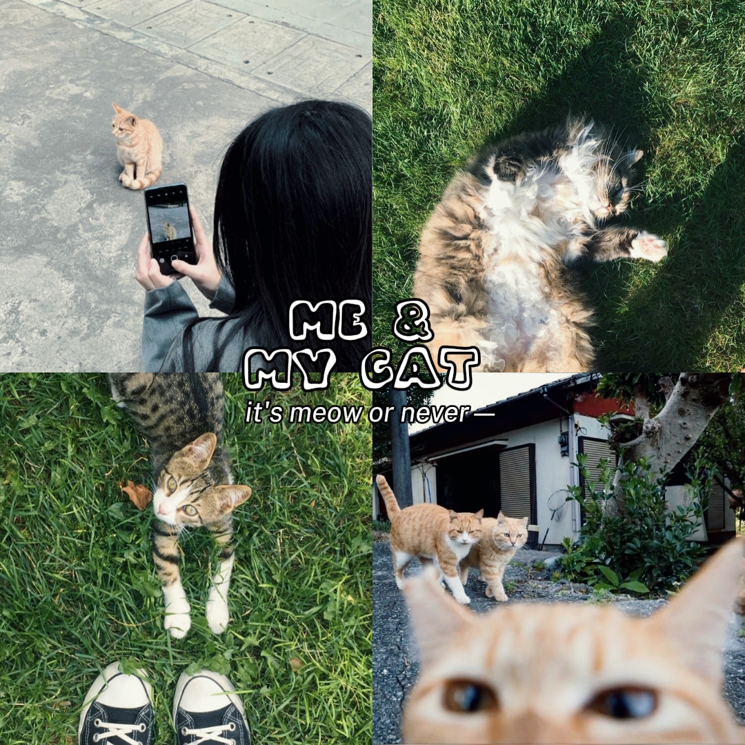 Yo y mi gato
