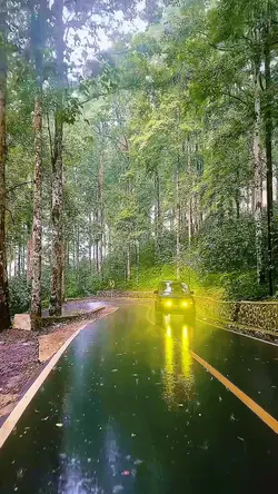 estetik slowmo hd