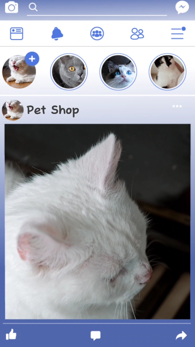 Pet Shop Product Display TikTok Style