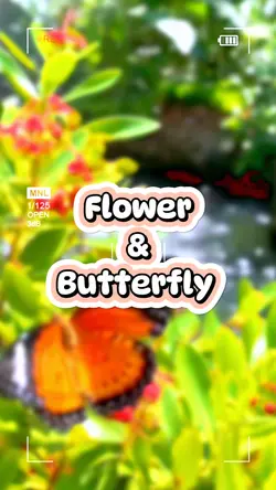 Flower & Butterfly 