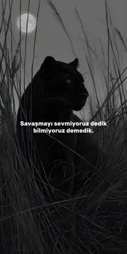 Bilmiyoruz demedik