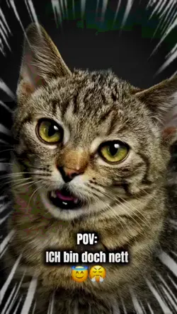 ich bin doch nett