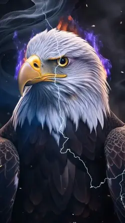 eagle new edit