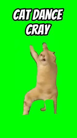 Cat Dance cray 