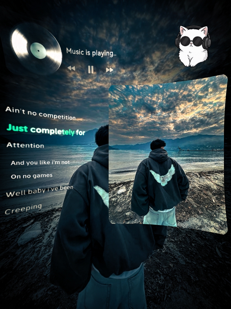 Cover Picture
