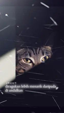 quotes