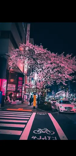 꿈이 없는 나날도