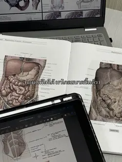 สู้เพื่อตัวเอง