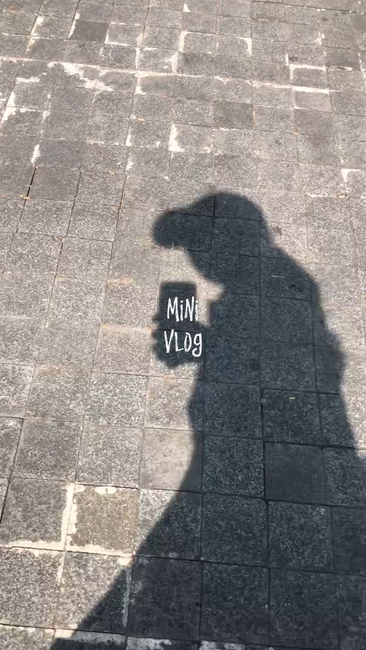 Mini-Vlog