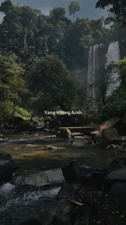 yg hilang arah