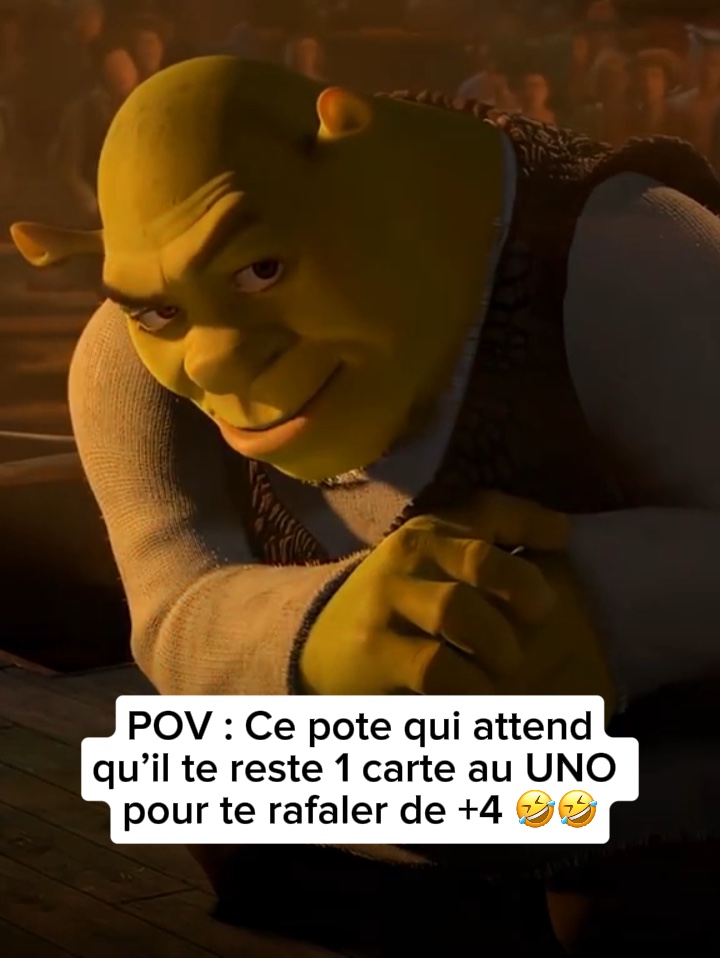 Shrek Rizz 😏