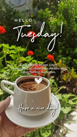 Hello Tuesday 🌞