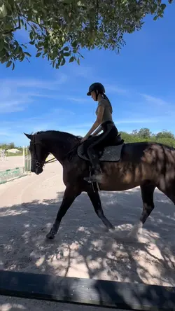 cutie ⚠️FAKE⚠️