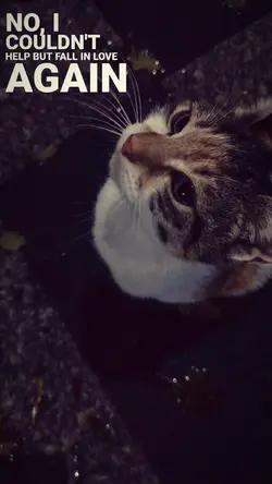 i thought i saw your