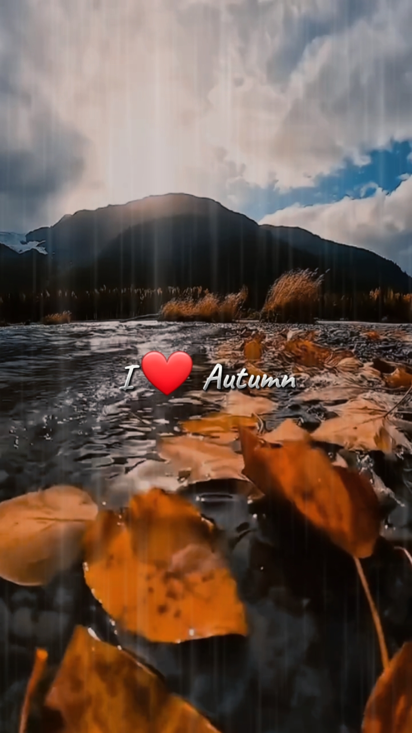 Autumn
