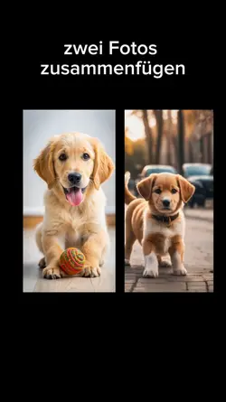 zwei Fotos zusammenf