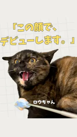 ついにデビュー