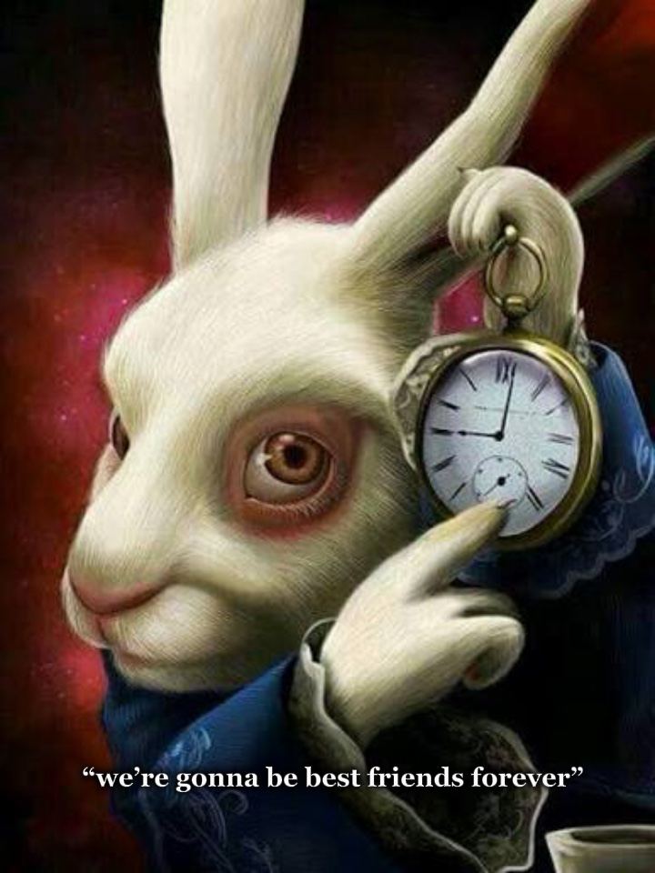 lapin blanc