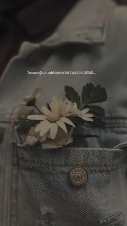 Şablon🖤