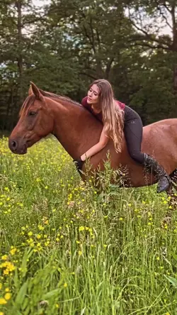 Horsie